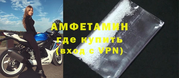 spice Богданович