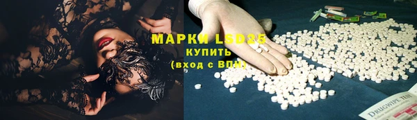 spice Богданович