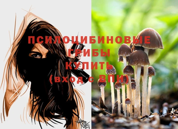spice Богданович