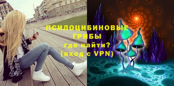 круглые Богородицк