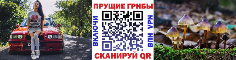 Галлюциногенные грибы Magic Shrooms Мезень