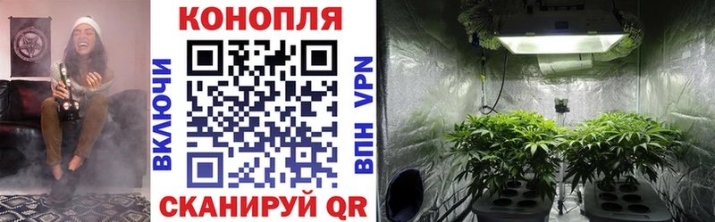 МАРИХУАНА LSD WEED  где найти   Мезень 